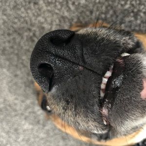 Meet your Posher, Parker